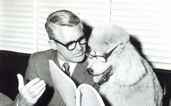 cary-grant-and-poodle